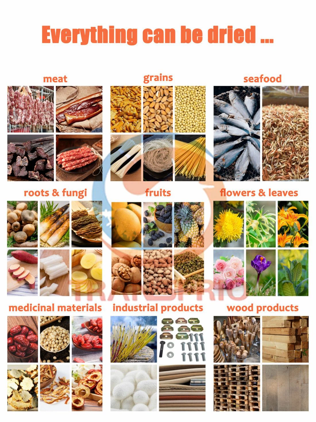 product-1100-1466 product-1100-1466